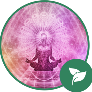 Introductory Healing Package