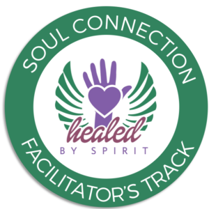 Soul Connection Facilitator's Curriculum